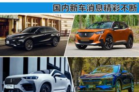 汉兰达小兄弟来袭 国内新车消息抢先看