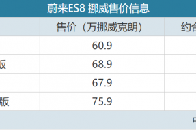 蔚来豪华纯电SUV——蔚来ES8在挪威正式上市